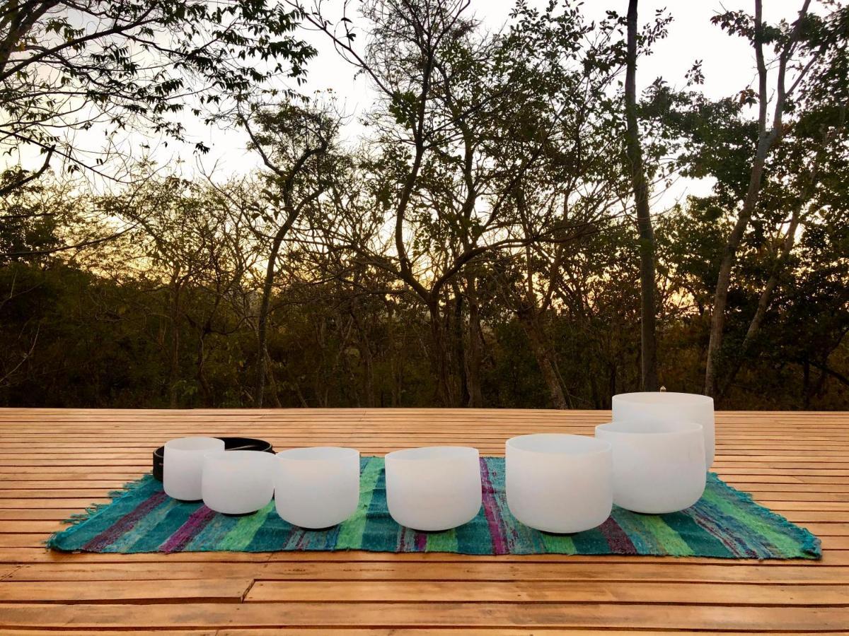 Hyla Nature Retreat Hotel San José Pinilla Екстериор снимка