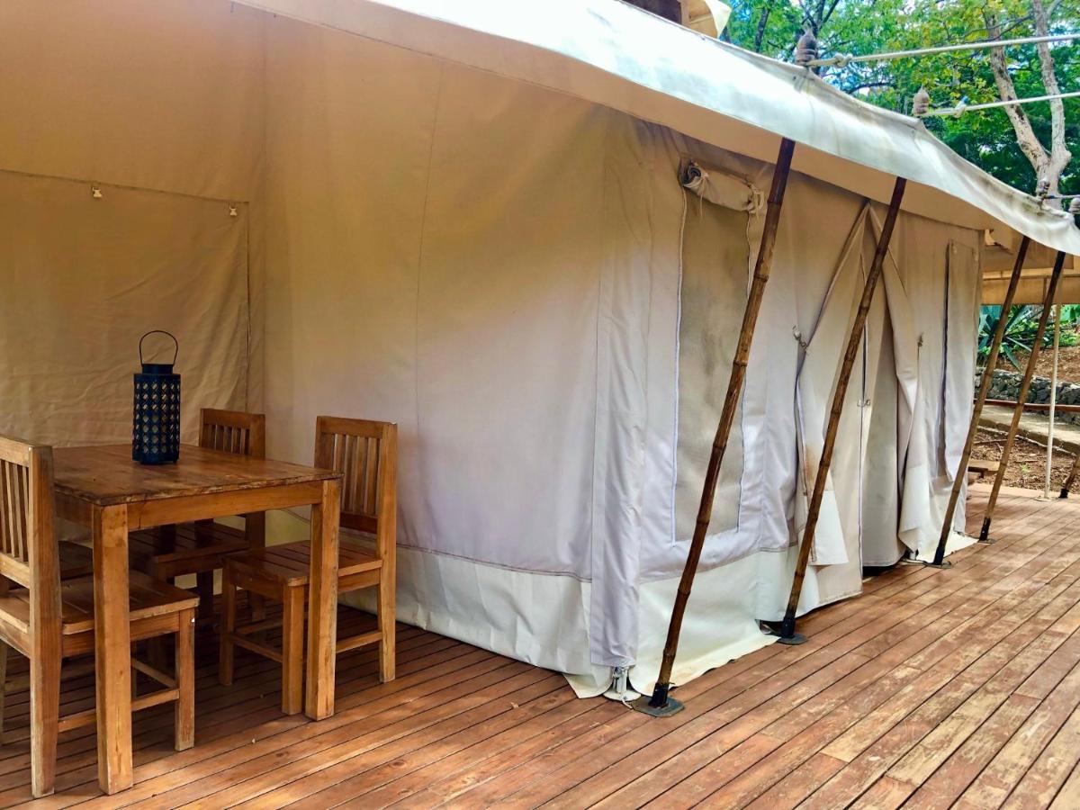 Hyla Nature Retreat Hotel San José Pinilla Екстериор снимка