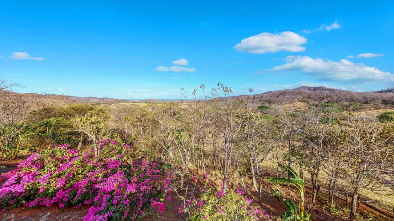 Hyla Nature Retreat Hotel San José Pinilla Екстериор снимка